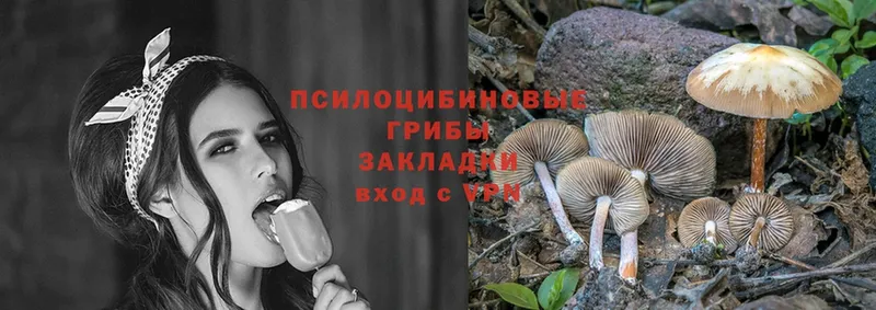 Галлюциногенные грибы Psilocybe Кушва